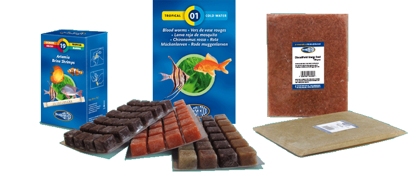 Frozen aquarium food sale